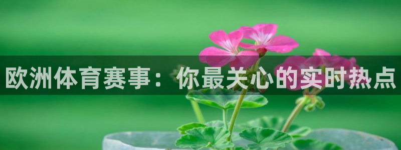 西瓜看球在线直播免费观看直播