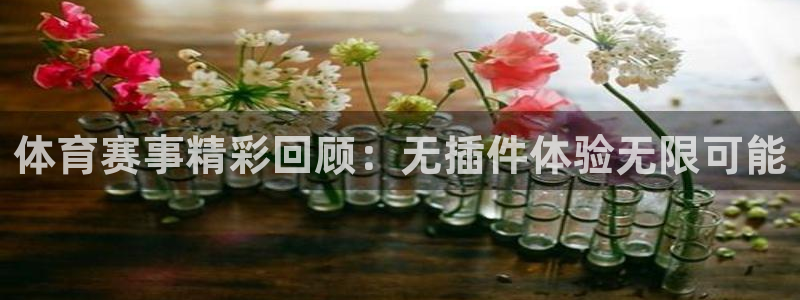 西瓜看球直播app