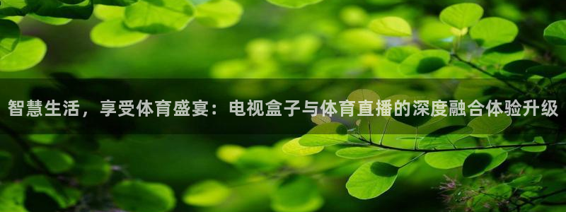 西瓜看球下载