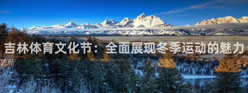 西瓜看球在线观看