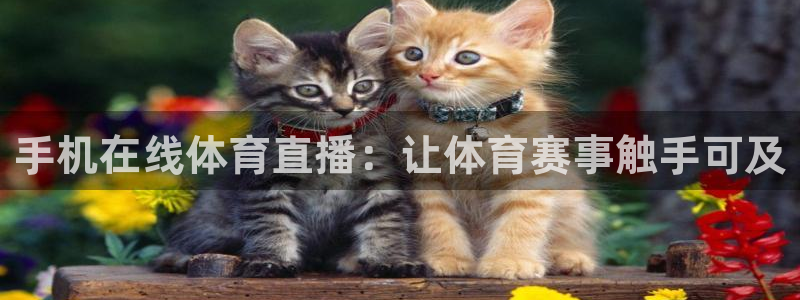 西瓜看球官网直播