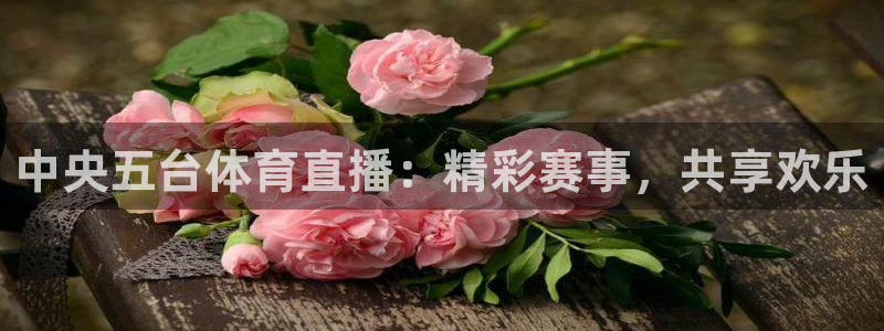 西瓜看球app最新版