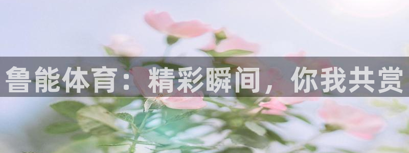 西瓜看球直播