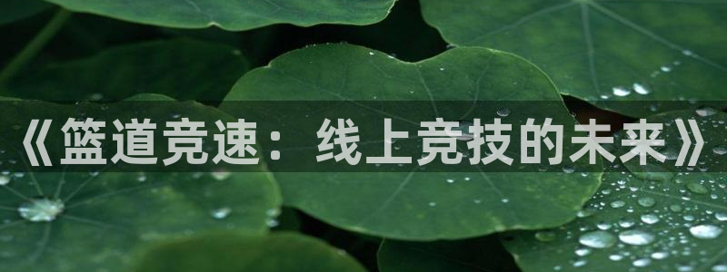 nba在线直播西瓜看球